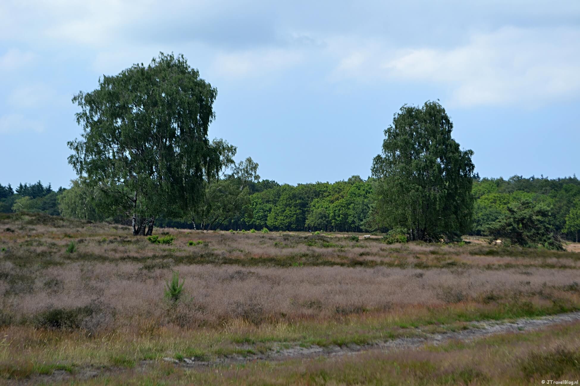 Westerborkpad etappe 6 : Station Hilversum – Station Hilversum Sportpark