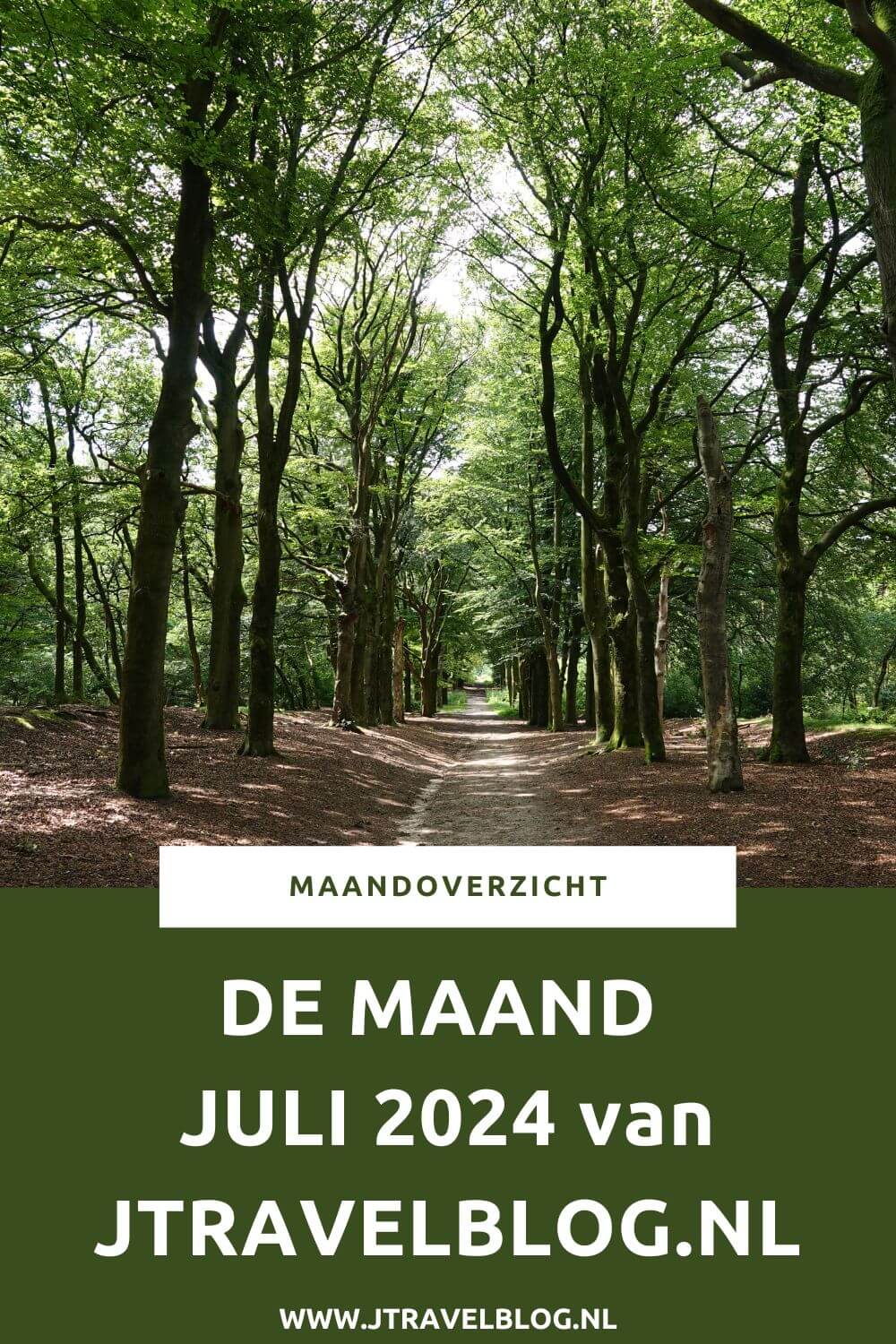 In juli 2024 maakte ik een wandeling rond het Jaagpad en de Molenplas in Haarlem, liep ik een etappe van de oudste wandelroute van Nederland en verbleef ik een tijdje in Groningen. Meer hier over lees je in dit maandoverzicht. #maandoverzicht #juli2024 #haarlem #oudstewandelroutevannederland #wandelen #jtravel #jtravelblog