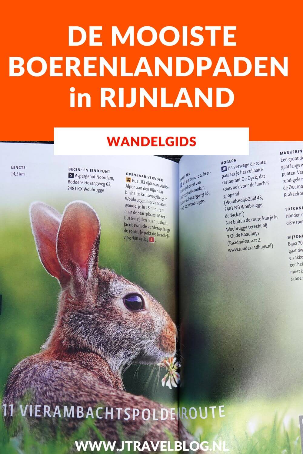 De wandelgids 'De mooiste boerenlandpaden in Rijnland' is een wandelgids van routemaker en auteur Harry Bunk met 13 wandelingen van 4,8 tot 14,2 kilometer in Zuid-Holland langs de Oude Rijn, rond Leiden en Alphen aan den Rijn. Wandel je mee? #rijnland #wandelen #wandelgids #gegarandeerdonregelmatig #jtravel #jtravelblog