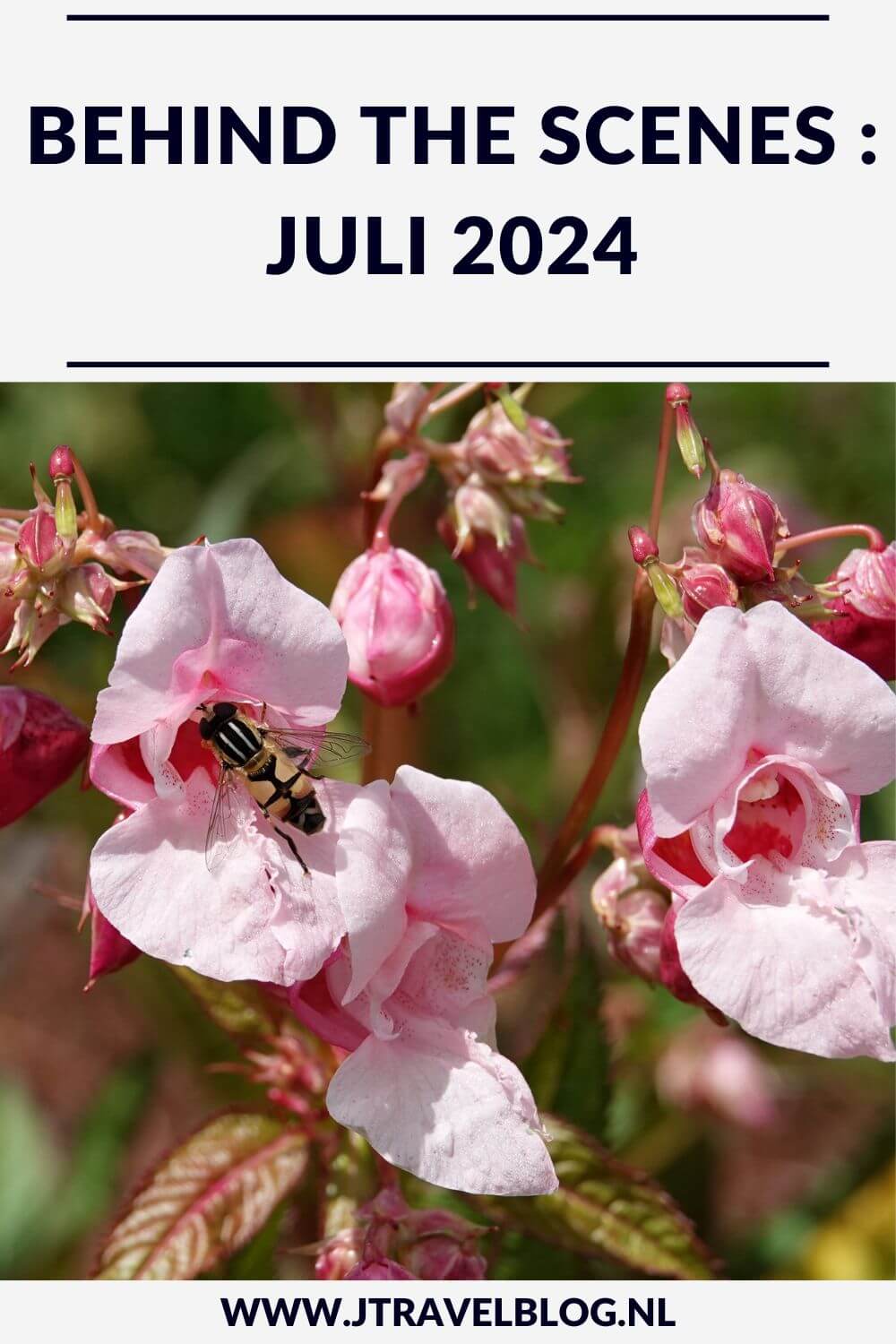 In juli 2024 maakte ik een wandeling rond het Jaagpad en de Molenplas in Haarlem, liep ik een etappe van de oudste wandelroute van Nederland en verbleef ik een tijdje in Groningen. Meer hier over lees je in dit maandoverzicht. #maandoverzicht #juli2024 #haarlem #oudstewandelroutevannederland #wandelen #jtravel #jtravelblog