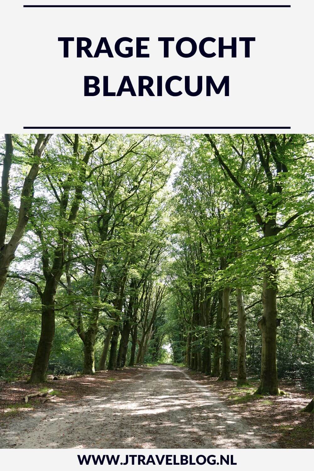 Ik maakte een Trage Tocht wandeling in het Gooi: de Trage Tocht Blaricum over de Blaricumerheide en de Tafelbergheide. Een wandeling over de heidevelden die op dat moment in bloei staan en door de bossen. Wandel je mee met Trage Tocht Blaricum. #blaricum #blaricumerheide #tafelbergheide #tragetocht #jtravelblog #jtravel