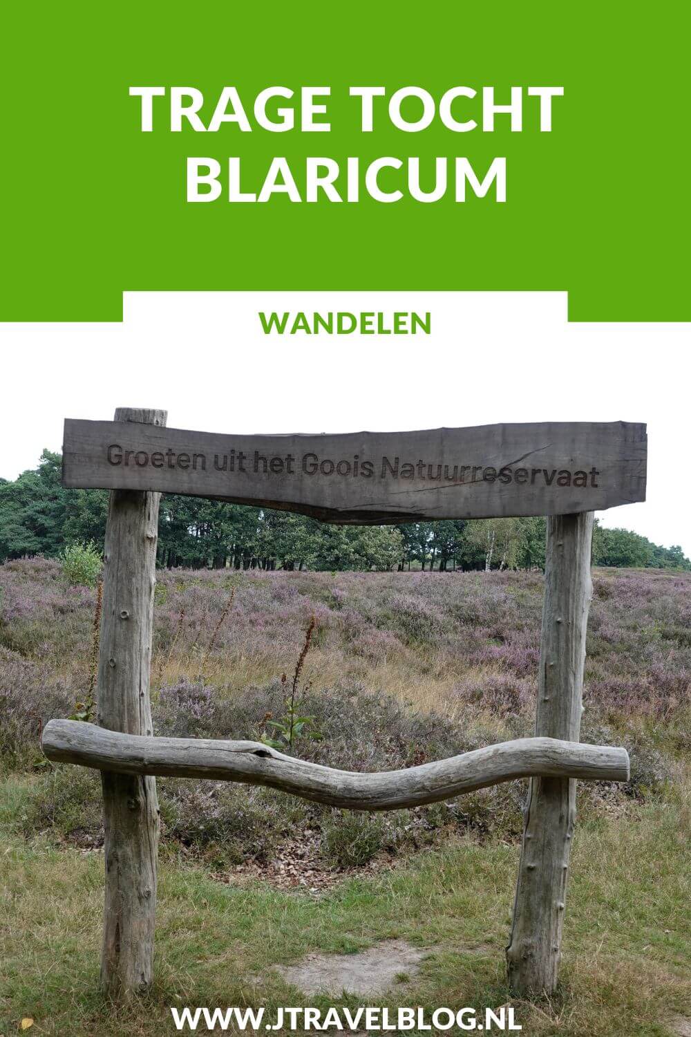 Ik maakte een Trage Tocht wandeling in het Gooi: de Trage Tocht Blaricum over de Blaricumerheide en de Tafelbergheide. Een wandeling over de heidevelden die op dat moment in bloei staan en door de bossen. Wandel je mee met Trage Tocht Blaricum. #blaricum #blaricumerheide #tafelbergheide #tragetocht #jtravelblog #jtravel