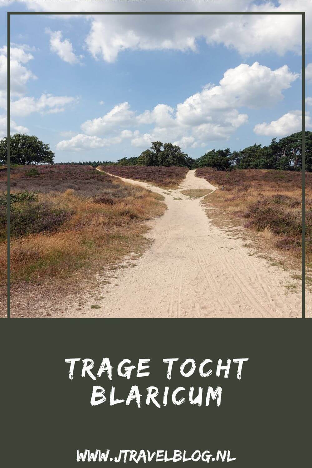 Ik maakte een Trage Tocht wandeling in het Gooi: de Trage Tocht Blaricum over de Blaricumerheide en de Tafelbergheide. Een wandeling over de heidevelden die op dat moment in bloei staan en door de bossen. Wandel je mee met Trage Tocht Blaricum. #blaricum #blaricumerheide #tafelbergheide #tragetocht #jtravelblog #jtravel