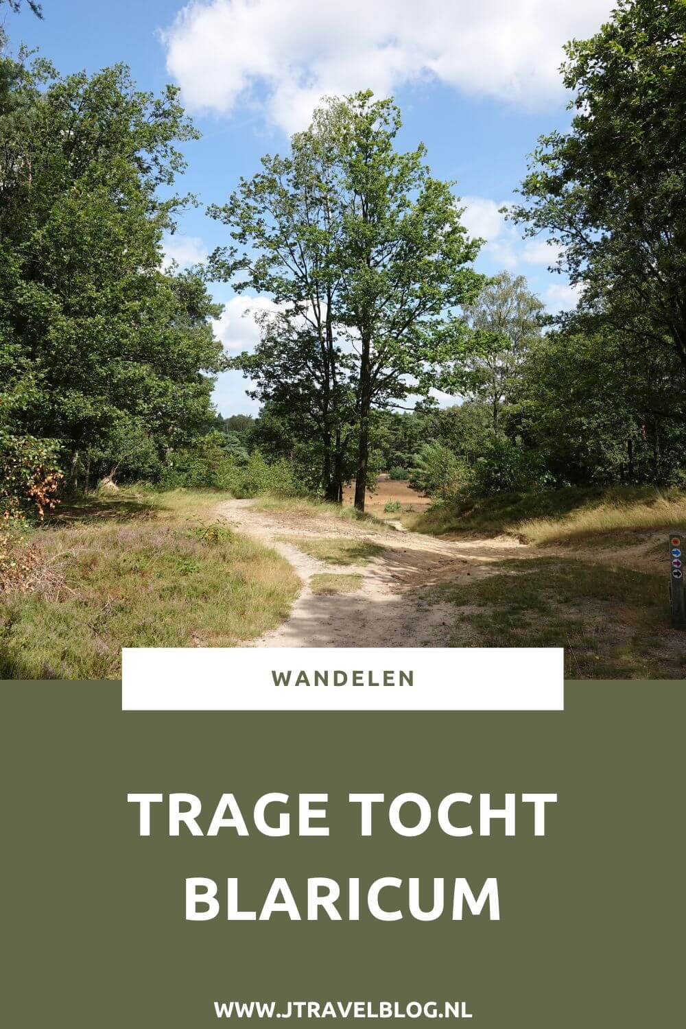 Ik maakte een Trage Tocht wandeling in het Gooi: de Trage Tocht Blaricum over de Blaricumerheide en de Tafelbergheide. Een wandeling over de heidevelden die op dat moment in bloei staan en door de bossen. Wandel je mee met Trage Tocht Blaricum. #blaricum #blaricumerheide #tafelbergheide #tragetocht #jtravelblog #jtravel