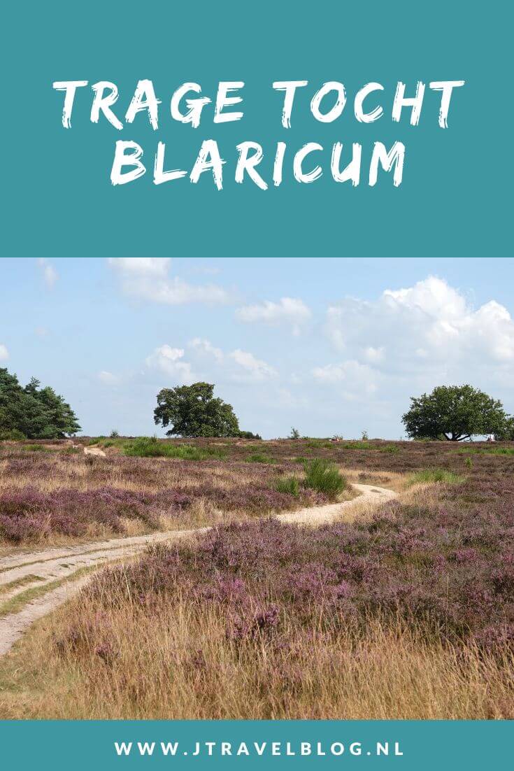 Ik maakte een Trage Tocht wandeling in het Gooi: de Trage Tocht Blaricum over de Blaricumerheide en de Tafelbergheide. Een wandeling over de heidevelden die op dat moment in bloei staan en door de bossen. Wandel je mee met Trage Tocht Blaricum. #blaricum #blaricumerheide #tafelbergheide #tragetocht #jtravelblog #jtravel