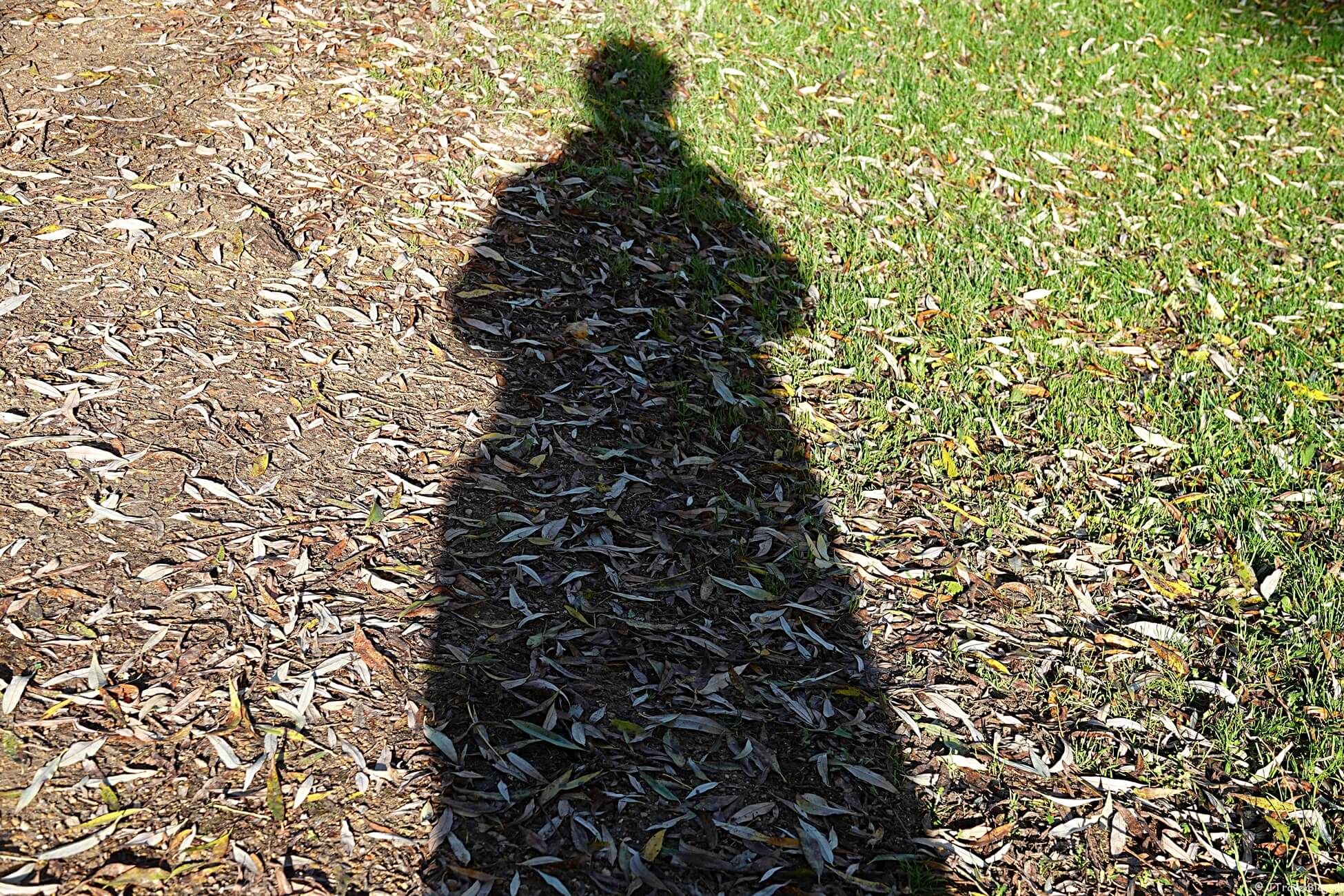 Maandoverzicht november 2021