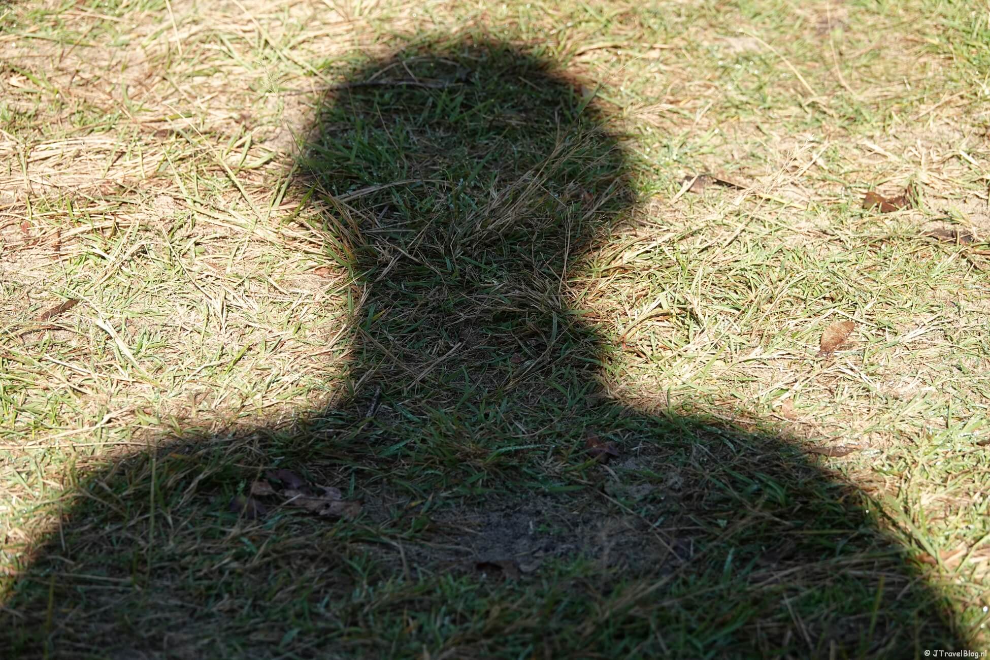 Maandoverzicht oktober 2021