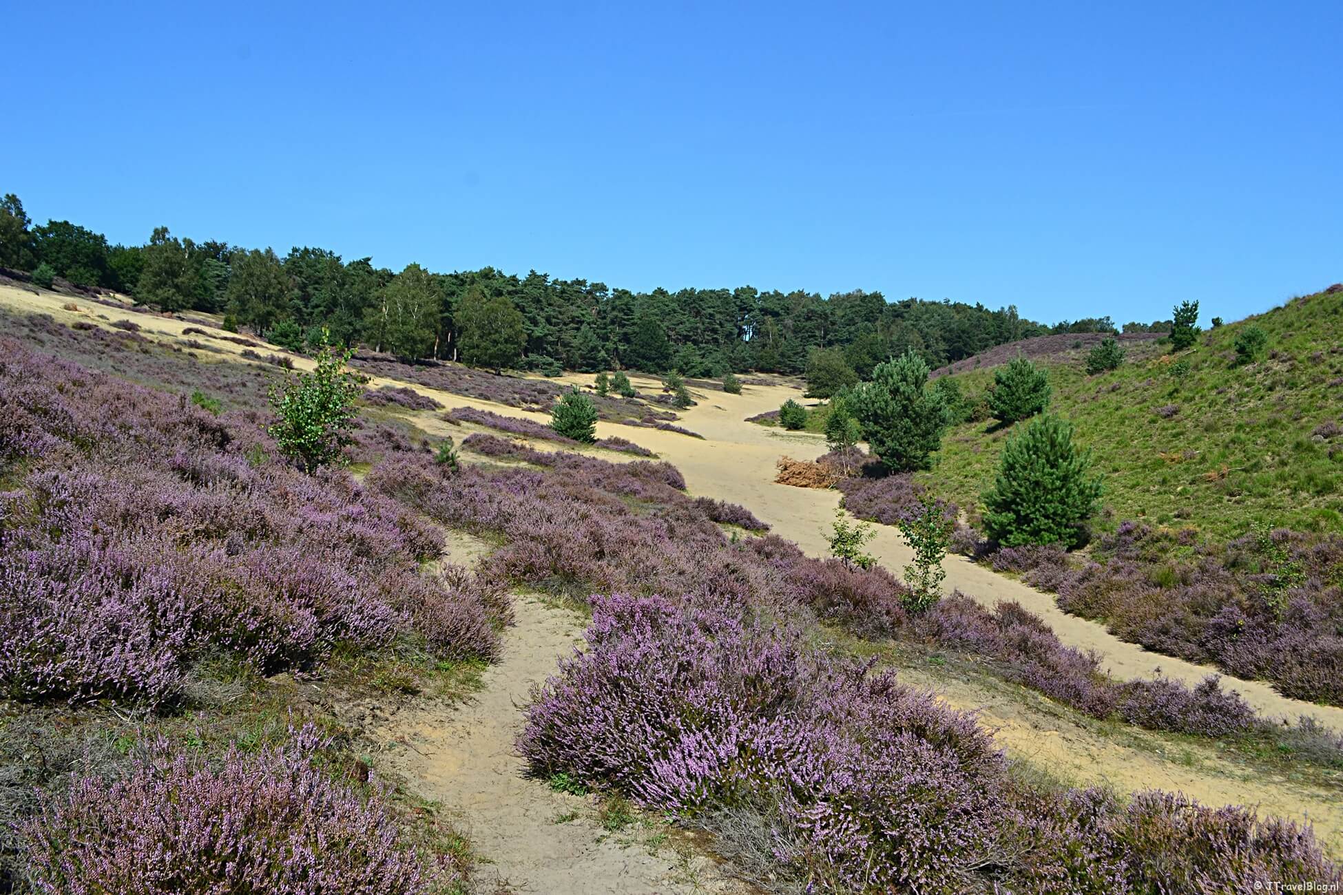 Nominaties voor de wandelroute van het jaar 2022