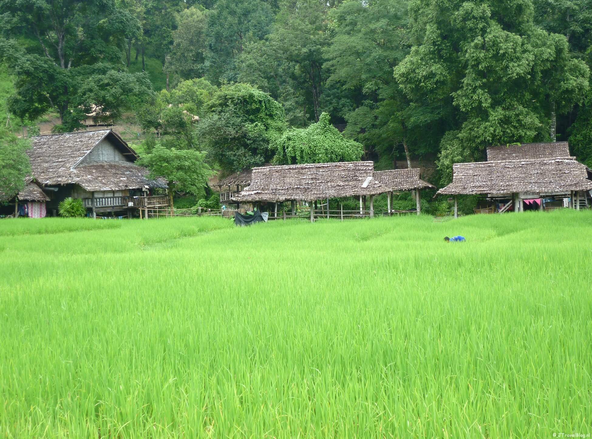 Wat kost reizen in Thailand