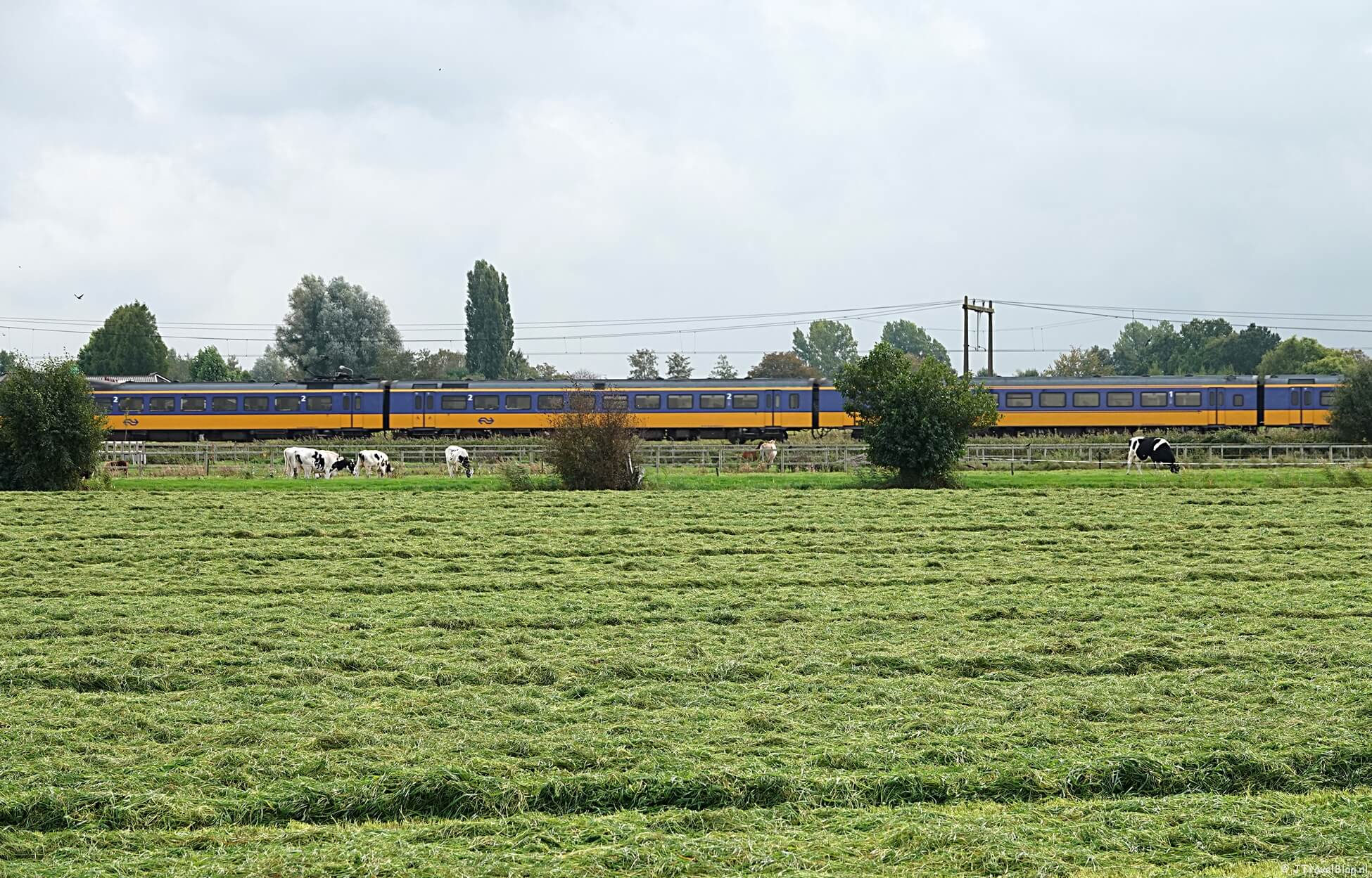 Westerborkpad etappe 10 : Station Amersfoort Schothorst – Station Nijkerk