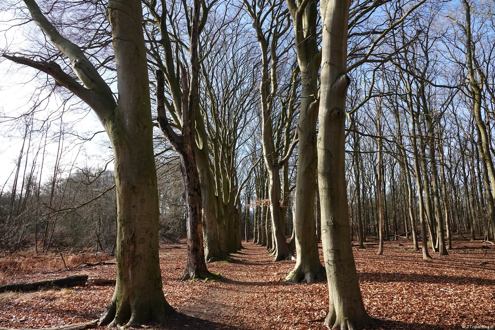 Duinverhalen wandeling in de Amsterdamse Waterleidingduinen vanaf ingang Oranjekom/Oase