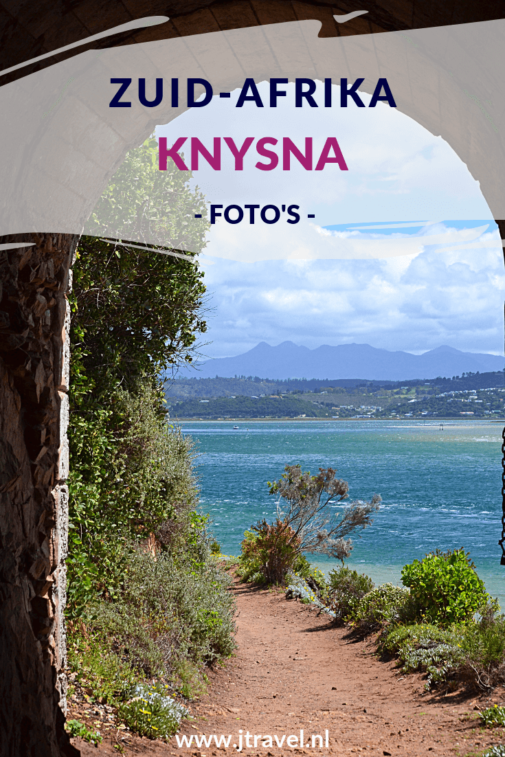 Knysna (uitspraak is Nijsna) ligt aan de zuidkust van Zuid-Afrika met een mooi centrum en een heus Waterfront waar het goed toeven is met winkels en boten. Een mooie excursies is vanuit de lagune een boottocht naar Featherbed Nature Reserve aan de overkant van de lagune. Mijn foto's zie je in dit artikel. Kijk je mee? #knysna #zuidafrika #featherbednaturereserve #boottocht #jtravel #jtravelblog #fotos