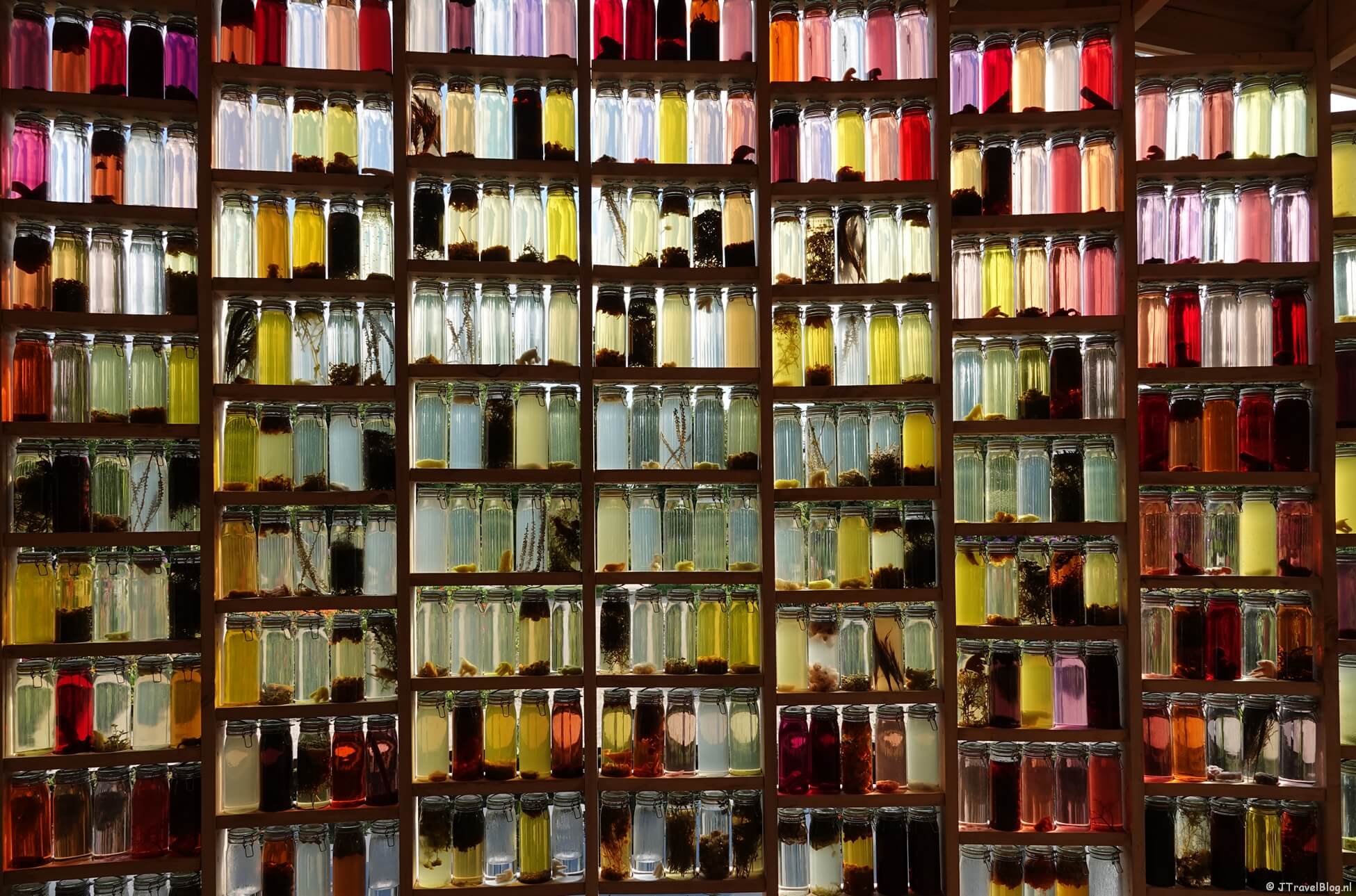 Informatie over de Floriade Expo 2022 in Almere