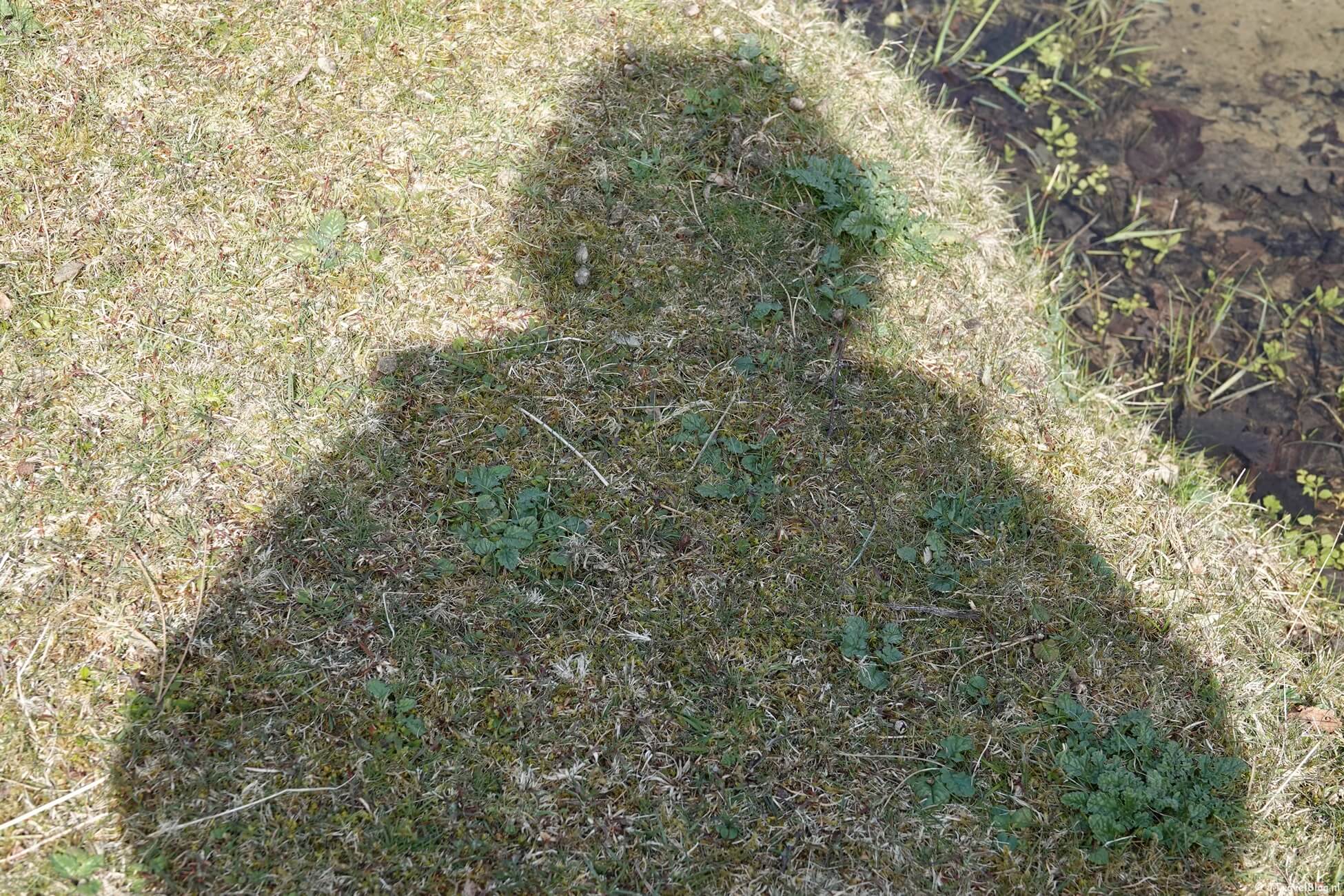 Maandoverzicht april 2022