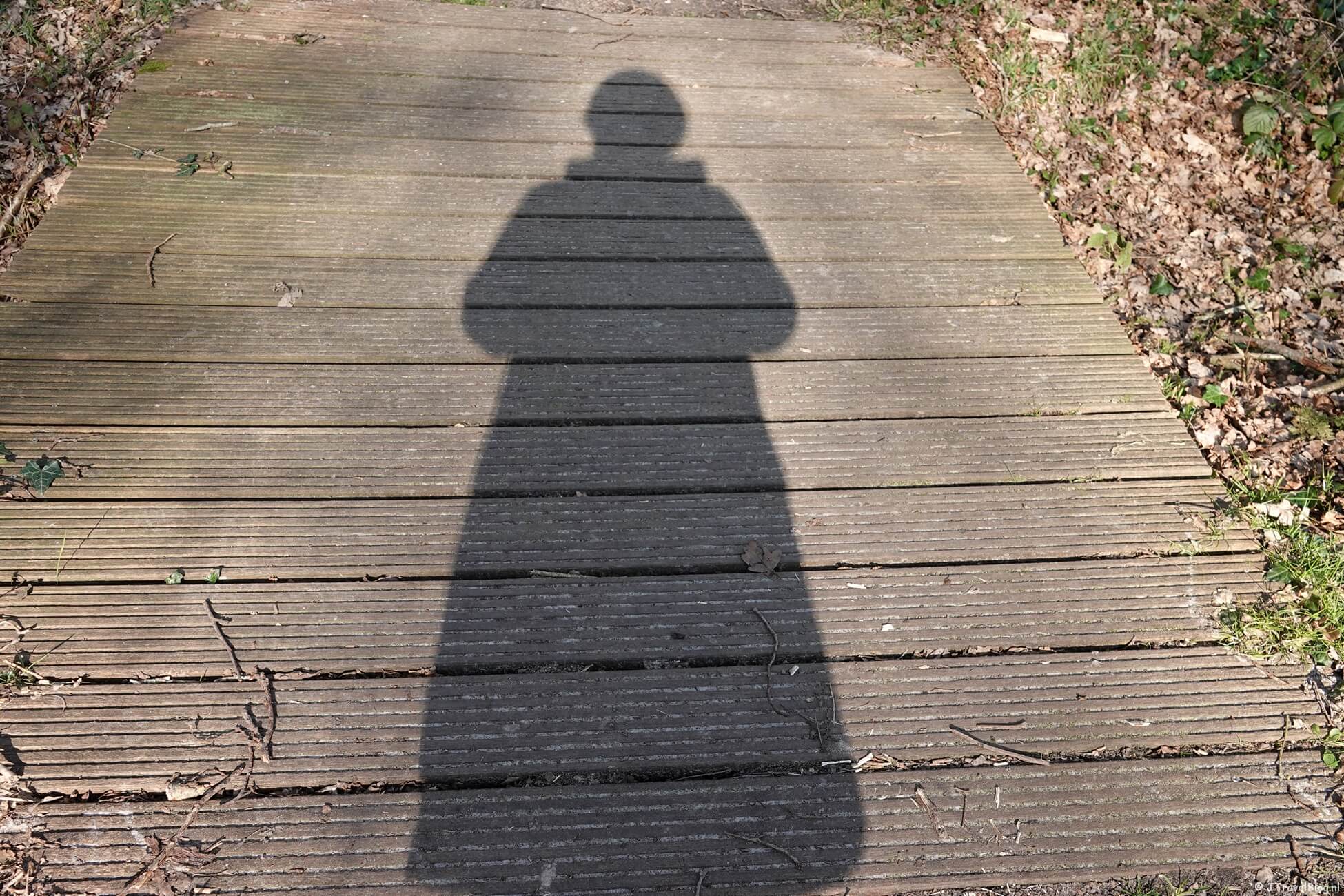 Maandoverzicht maart 2022