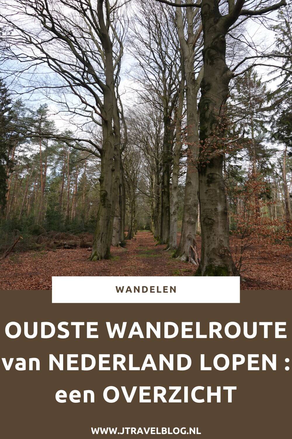 Wil je de oudste wandelroute van Nederland lopen? In dit artikel lees je alles over deze 150 kilometer lange wandeling van Station Amsterdam-Muiderpoort naar Arnhem. #oudstewandelroutevannederland #wandelen #jtravel #jtravelblog