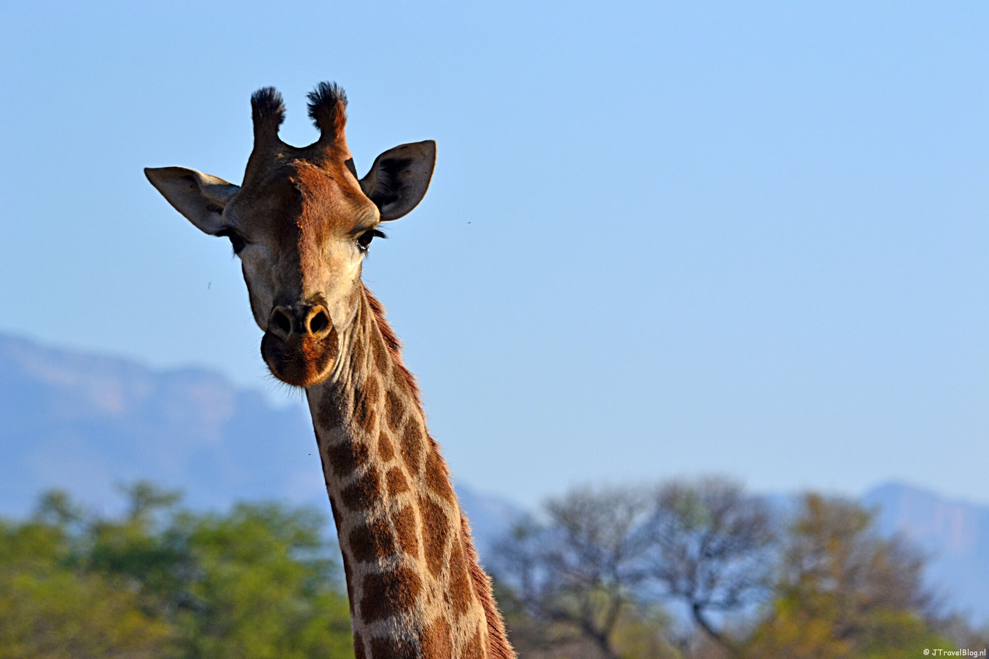 Praktische tips voor je reis naar Zuid-Afrika