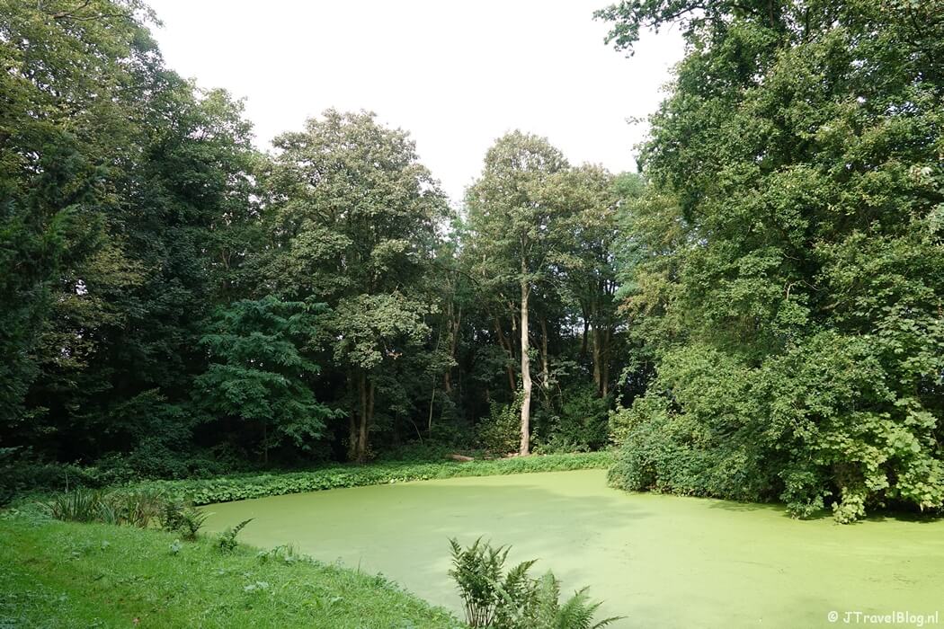 Bennebroekbos in Bennebroek tijdens de Trambaanroute in Bennebroek