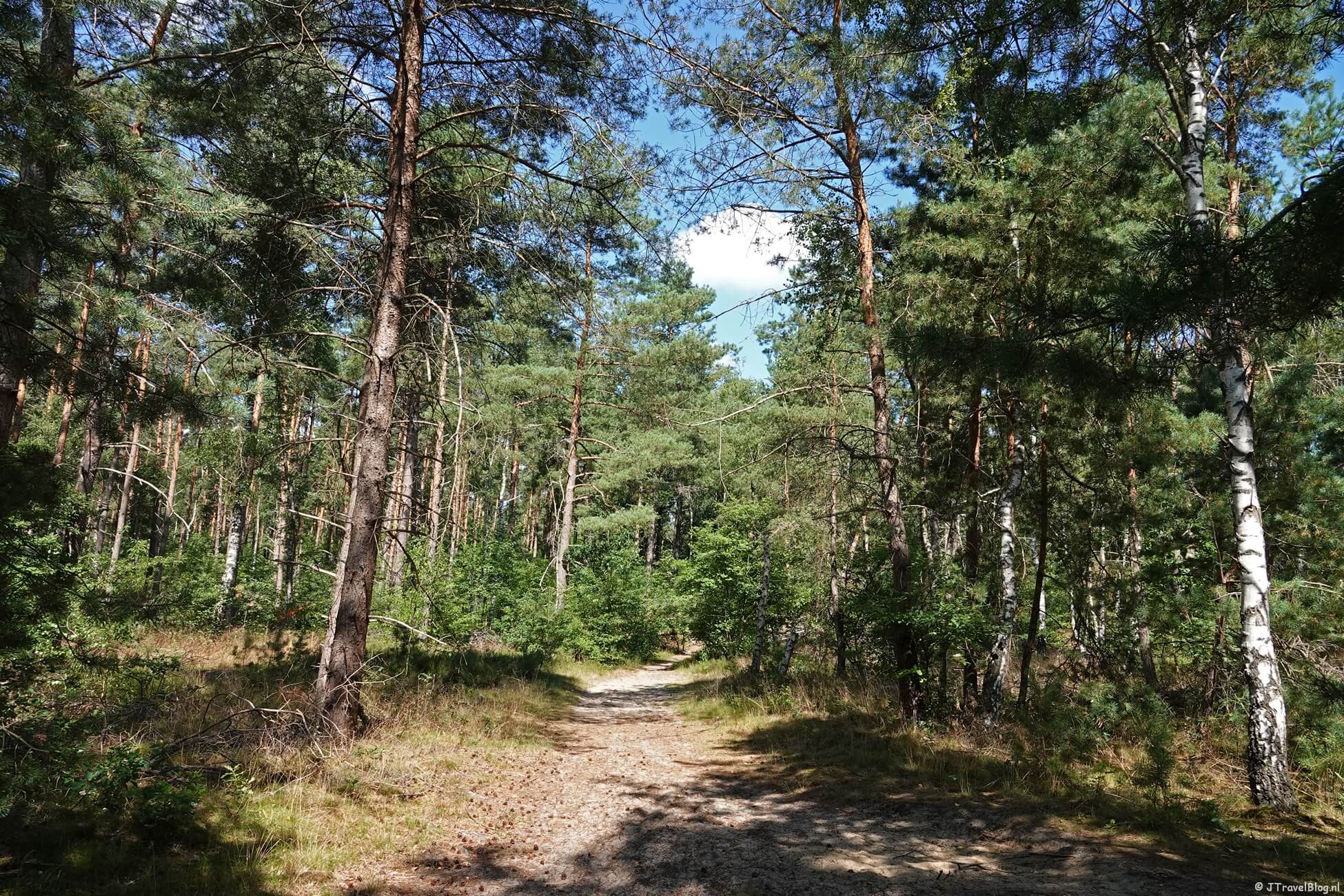 Westerborkpad etappe 17 : Station ’t Harde – Station Wezep