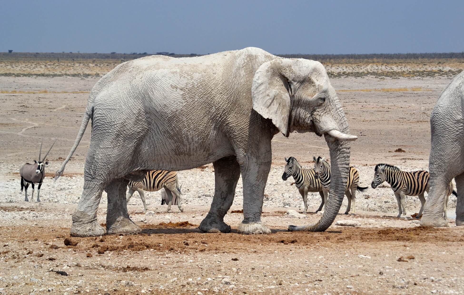 Alles wat je wilt weten over reizen naar Namibië