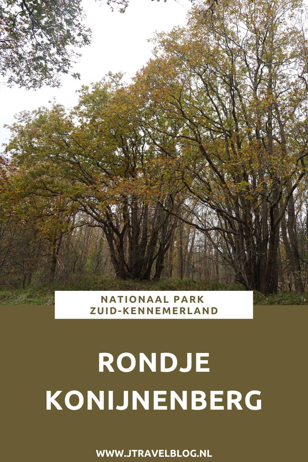 Ik liep een rondje Konijnenberg in Nationaal Park Zuid-Kennemerland vanaf ingang Koevlak in Overveen. Wandel je mee? #nationaalparkzuidkennemerland #zuidkennemerland #overveen #wandelen #wandelnetwerknoordholland #jtravelblog #jtravel