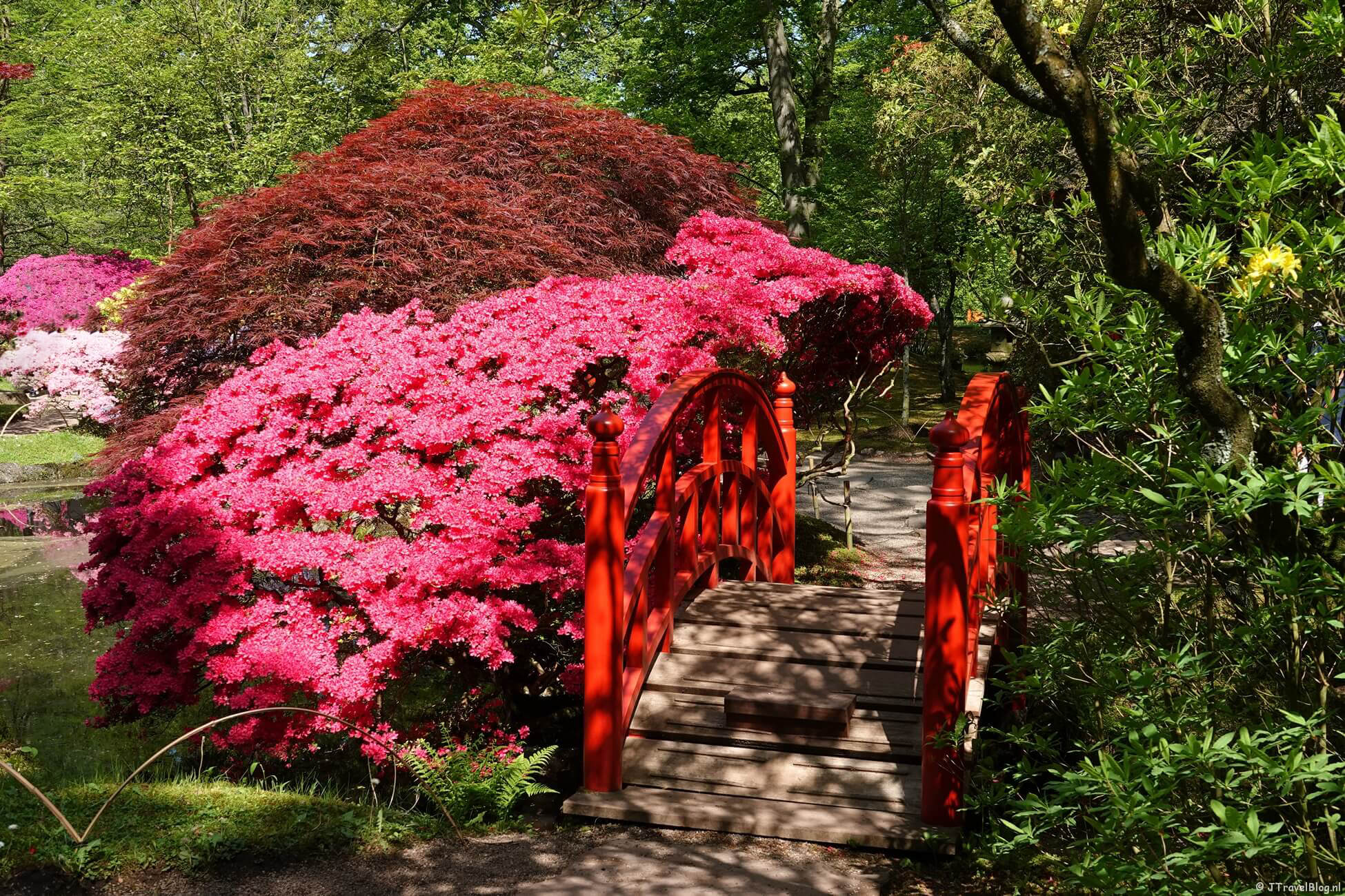 De Japanse Tuin in Den Haag