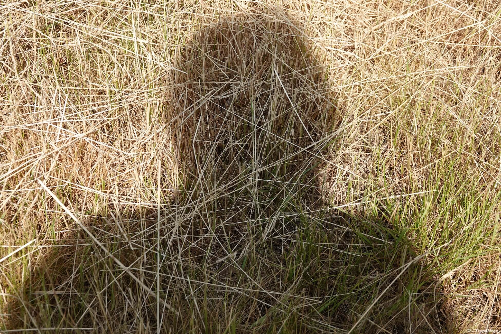 Maandoverzicht juni 2023