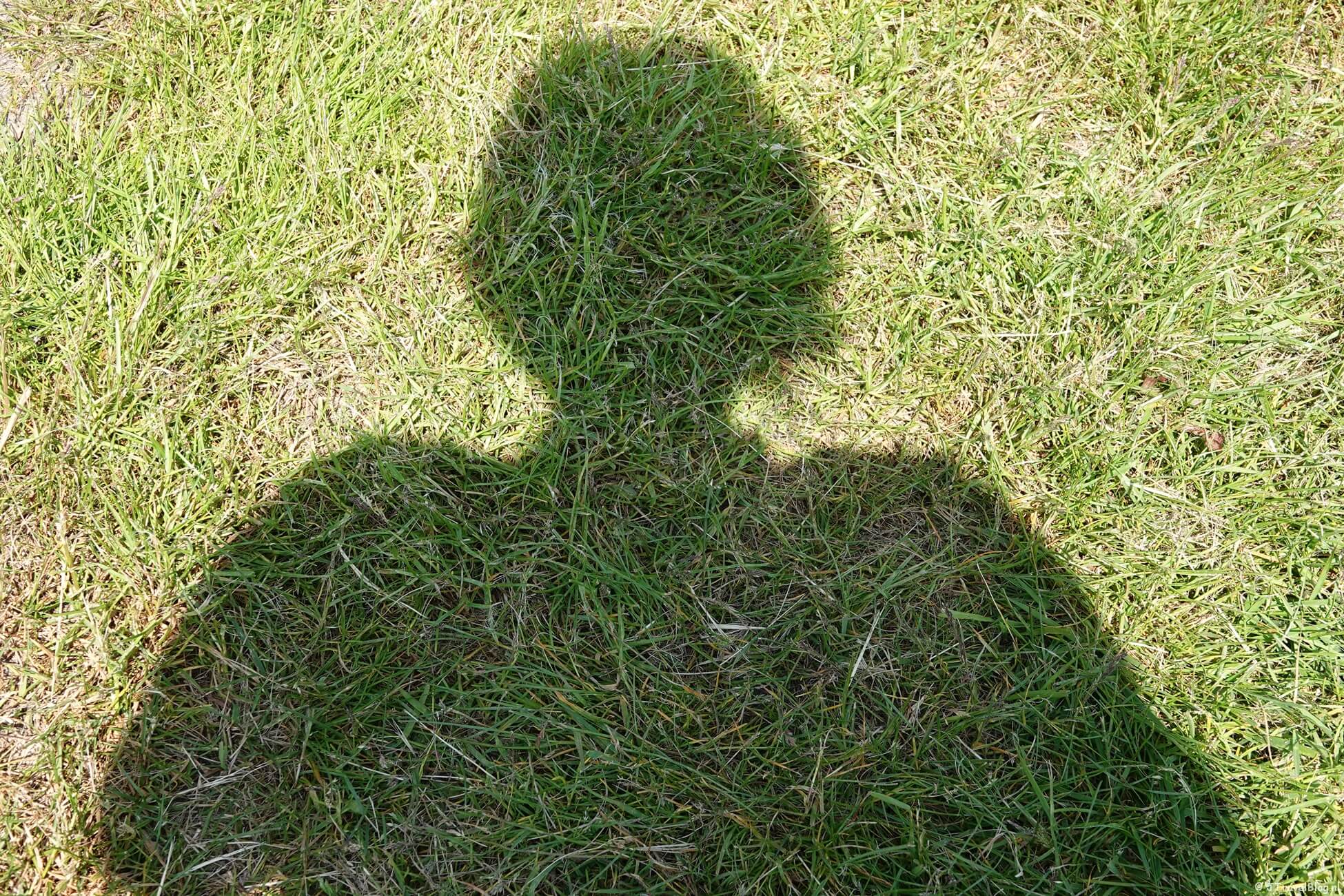 Maandoverzicht mei 2023