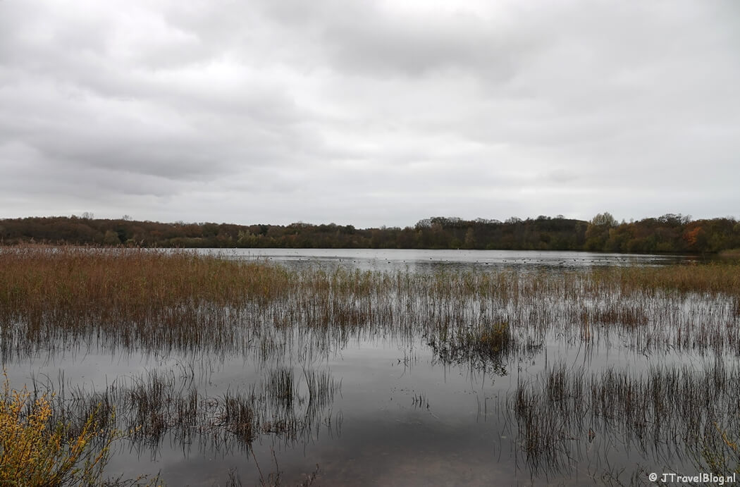 't Wed tijdens mijn rondje Konijnenberg in Nationaal Park Zuid-Kennemerland