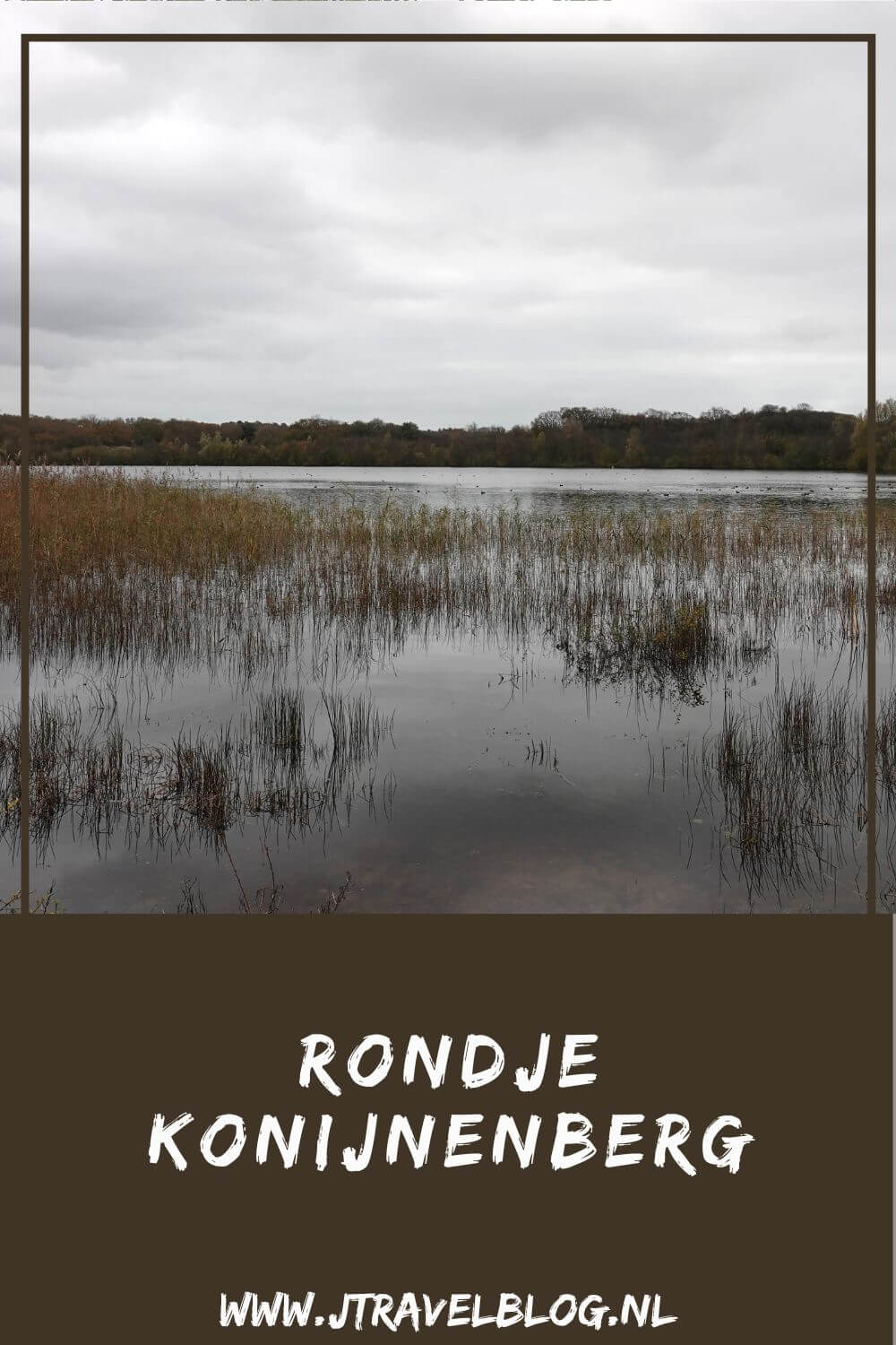 Ik liep een rondje Konijnenberg in Nationaal Park Zuid-Kennemerland vanaf ingang Koevlak in Overveen. Wandel je mee? #nationaalparkzuidkennemerland #zuidkennemerland #overveen #wandelen #wandelnetwerknoordholland #jtravelblog #jtravel