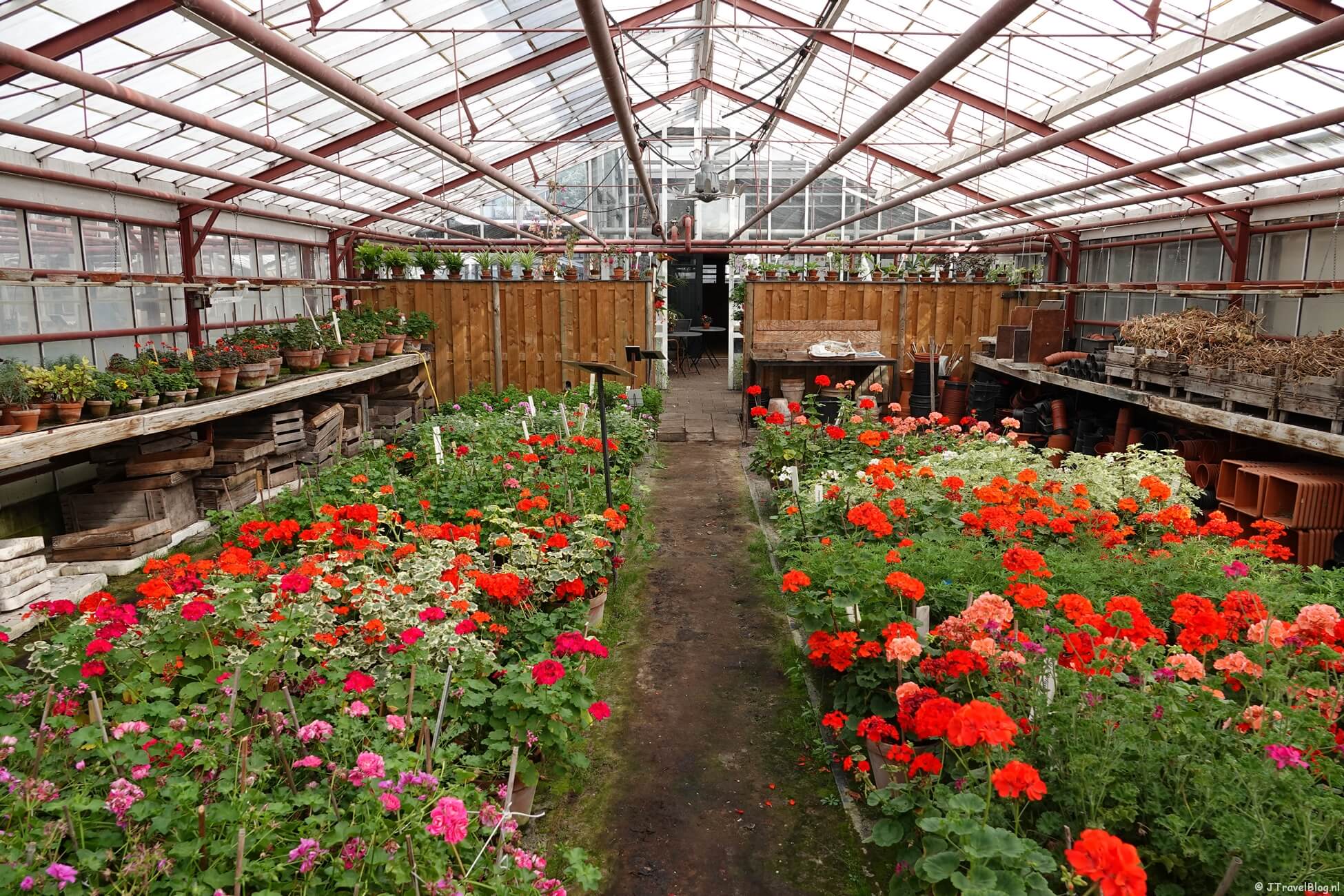 Mijn bezoek aan de Historische Tuin Aalsmeer