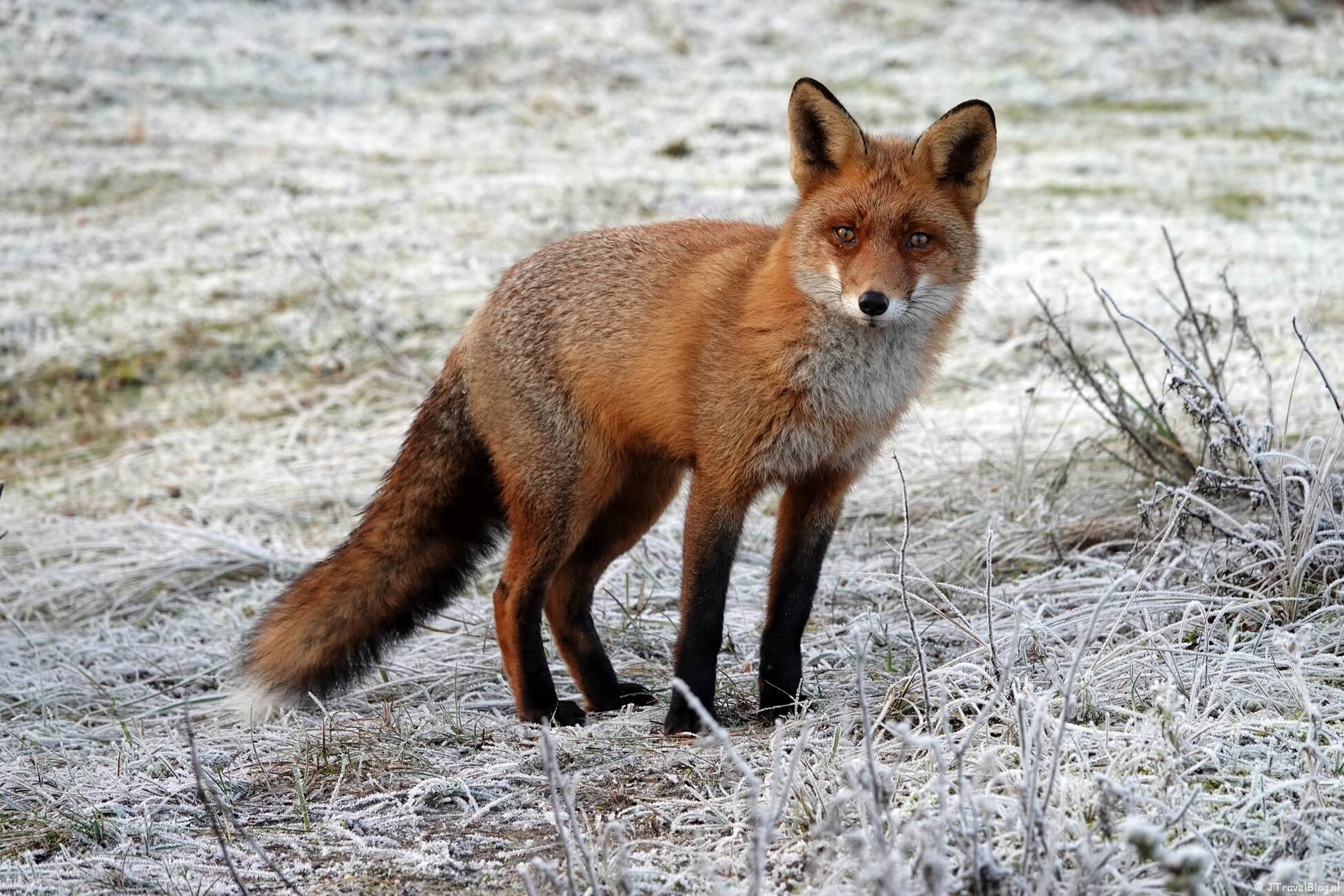 Mijn jaaroverzicht 2022