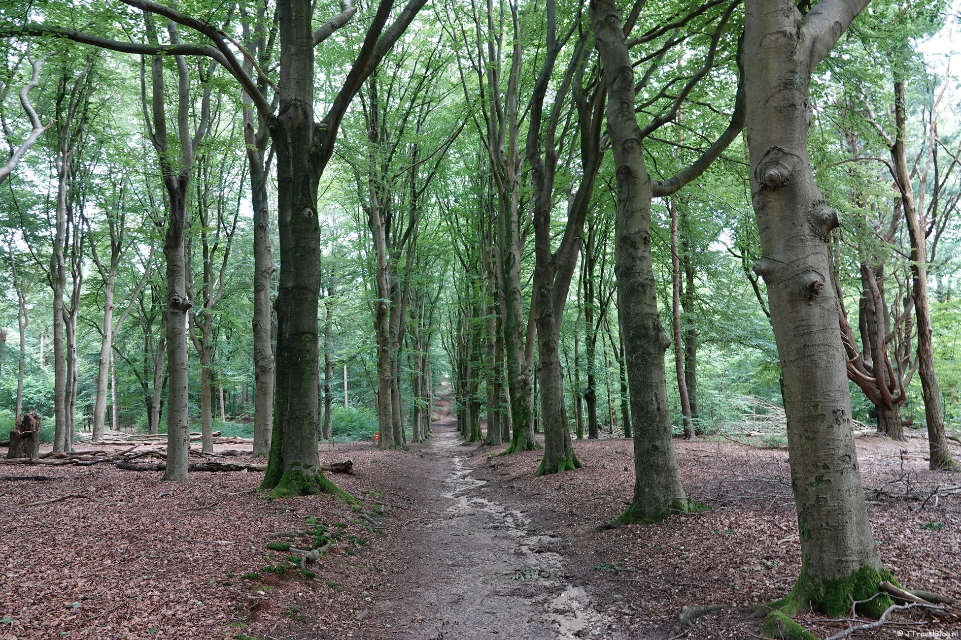 Nominaties voor de wandelroute van het jaar 2025