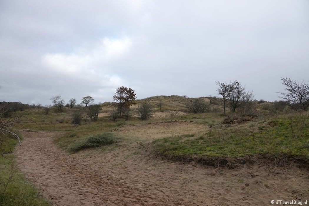Een open vlakte tijdens mijn rondje Konijnenberg in Nationaal Park Zuid-Kennemerland