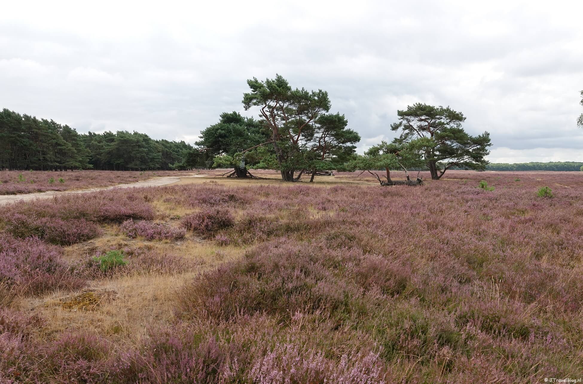 Trage Tocht Bussum over de Bussumerheide en langs buitenplaatsen in 's-Graveland