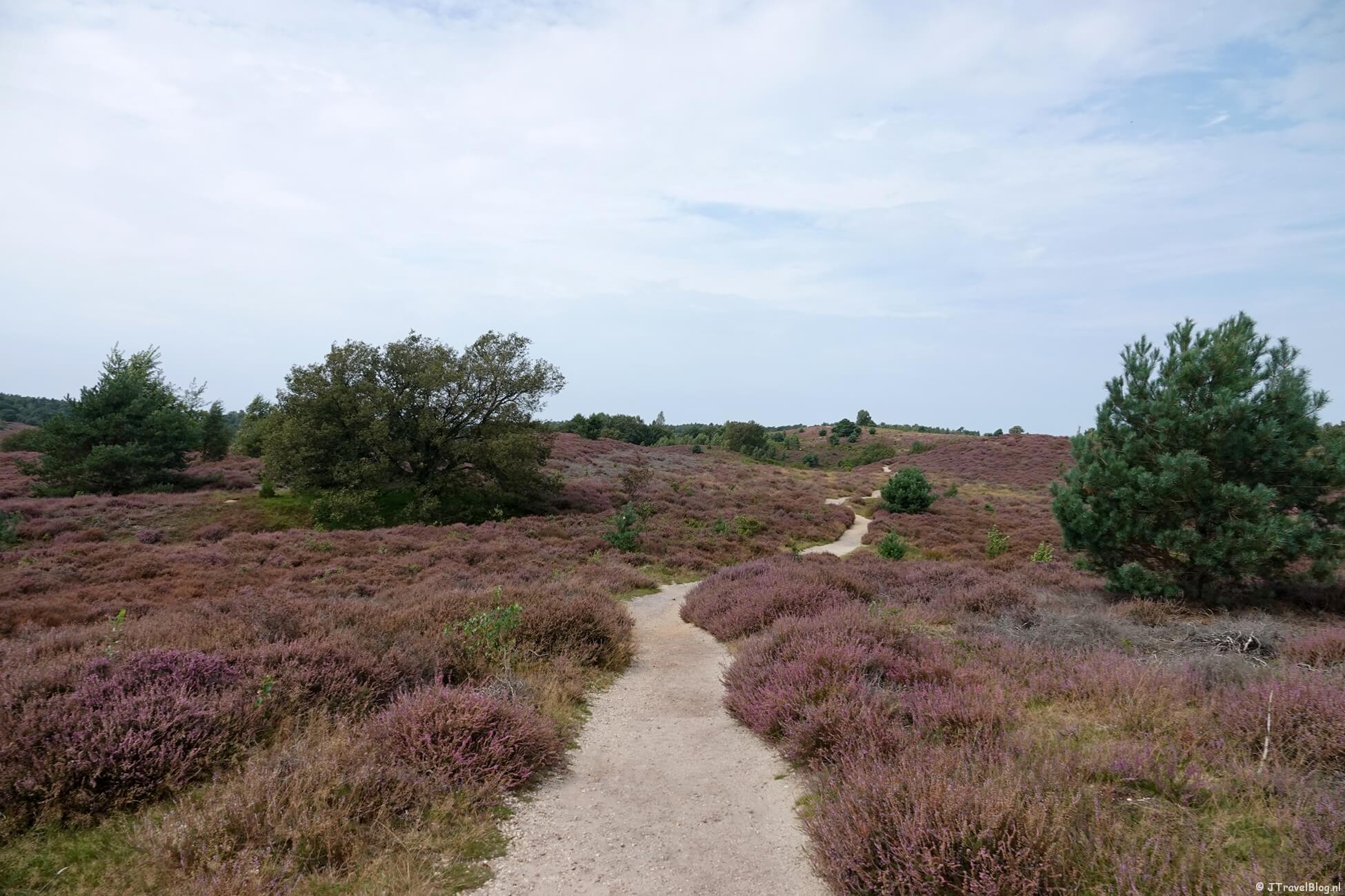 Verschillende soorten wandelingen op een rijtje