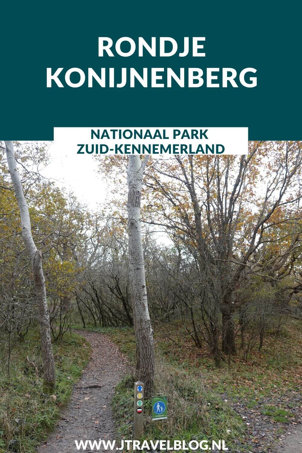 Ik liep een rondje Konijnenberg in Nationaal Park Zuid-Kennemerland vanaf ingang Koevlak in Overveen. Wandel je mee? #nationaalparkzuidkennemerland #zuidkennemerland #overveen #wandelen #wandelnetwerknoordholland #jtravelblog #jtravel