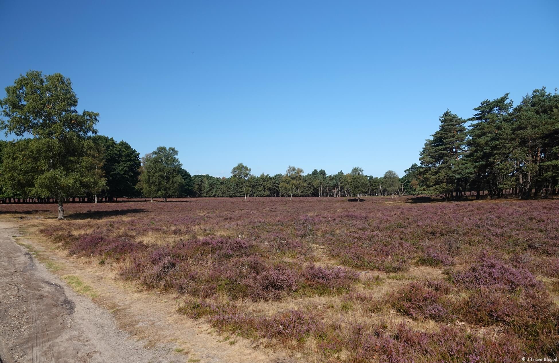 Westerborkpad etappe 18 : Station Wezep โ Hattem
