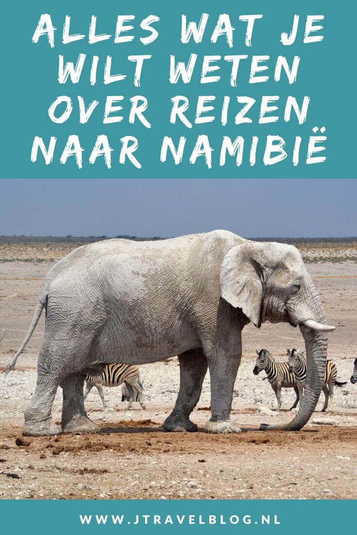 Ik heb in dit artikel alles wat je wilt weten over reizen naar Namibië op een rijtje gezet. Ik probeer in dit artikel antwoord te geven op veel gestelde vragen als grensdocumenten, beste reistijd, geldzaken, verkeer, veiligheid en andere zaken. #namibie #alleswatjewiltwetenovernamibie #jtravel #jtravelblog