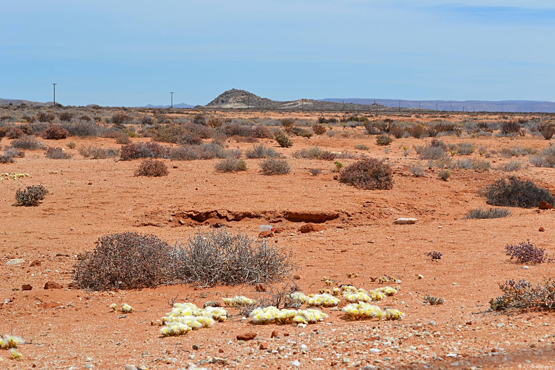 Beste reistijd voor Zuid-Afrika