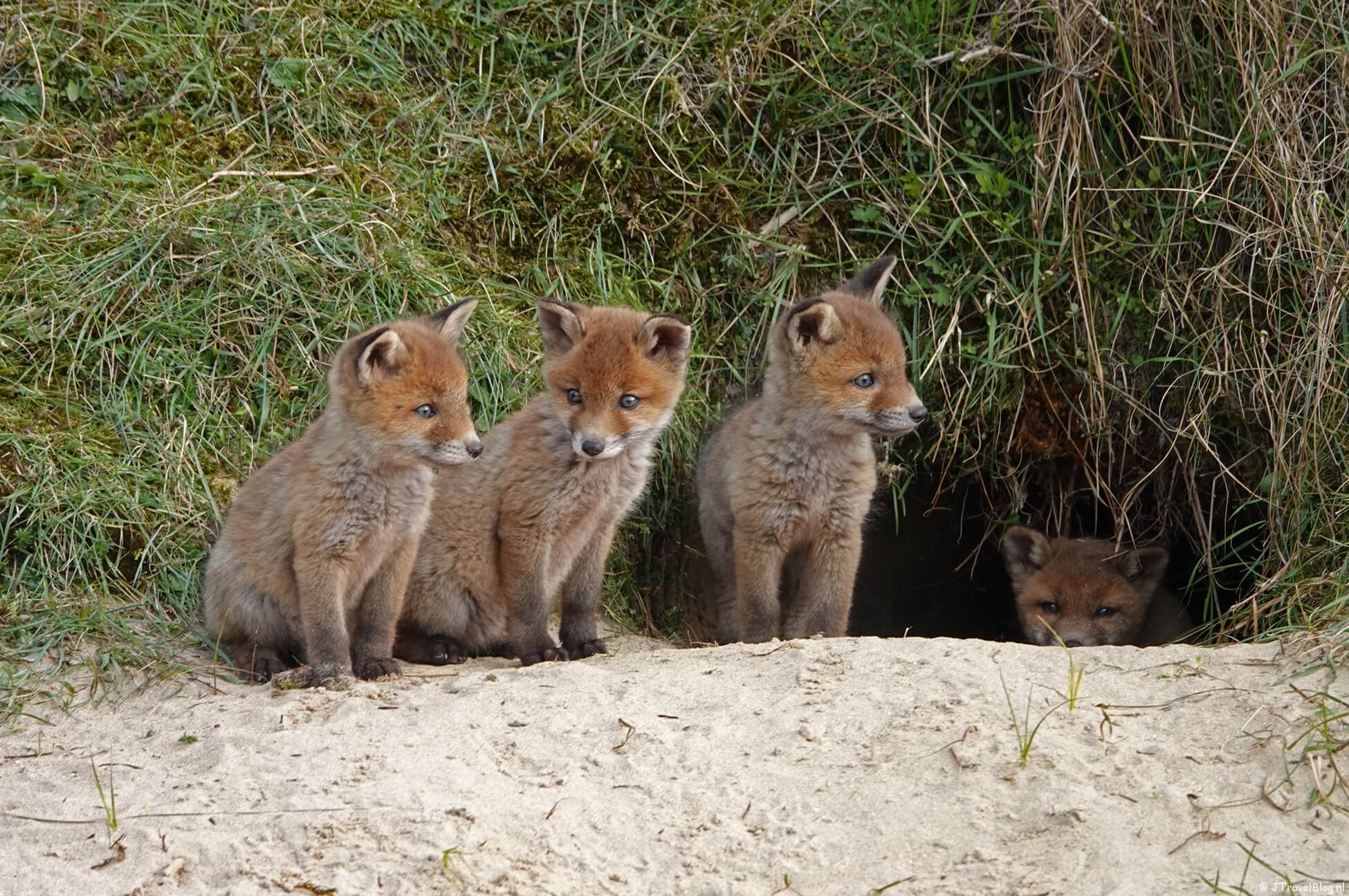 De meest gelezen blogs en artikelen van 2023 op JTravelBlog.nl en JTravel.nl