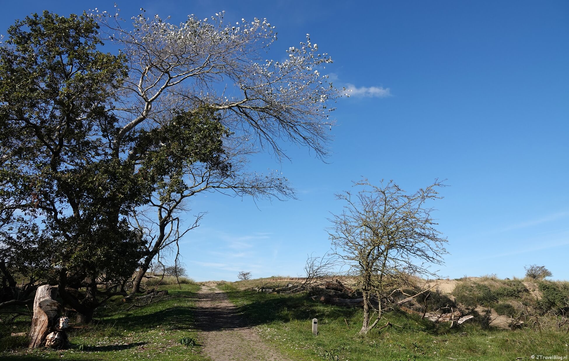 De zwarte wandelroute vanaf ingang De Zilk in de Amsterdamse Waterleidingduinen
