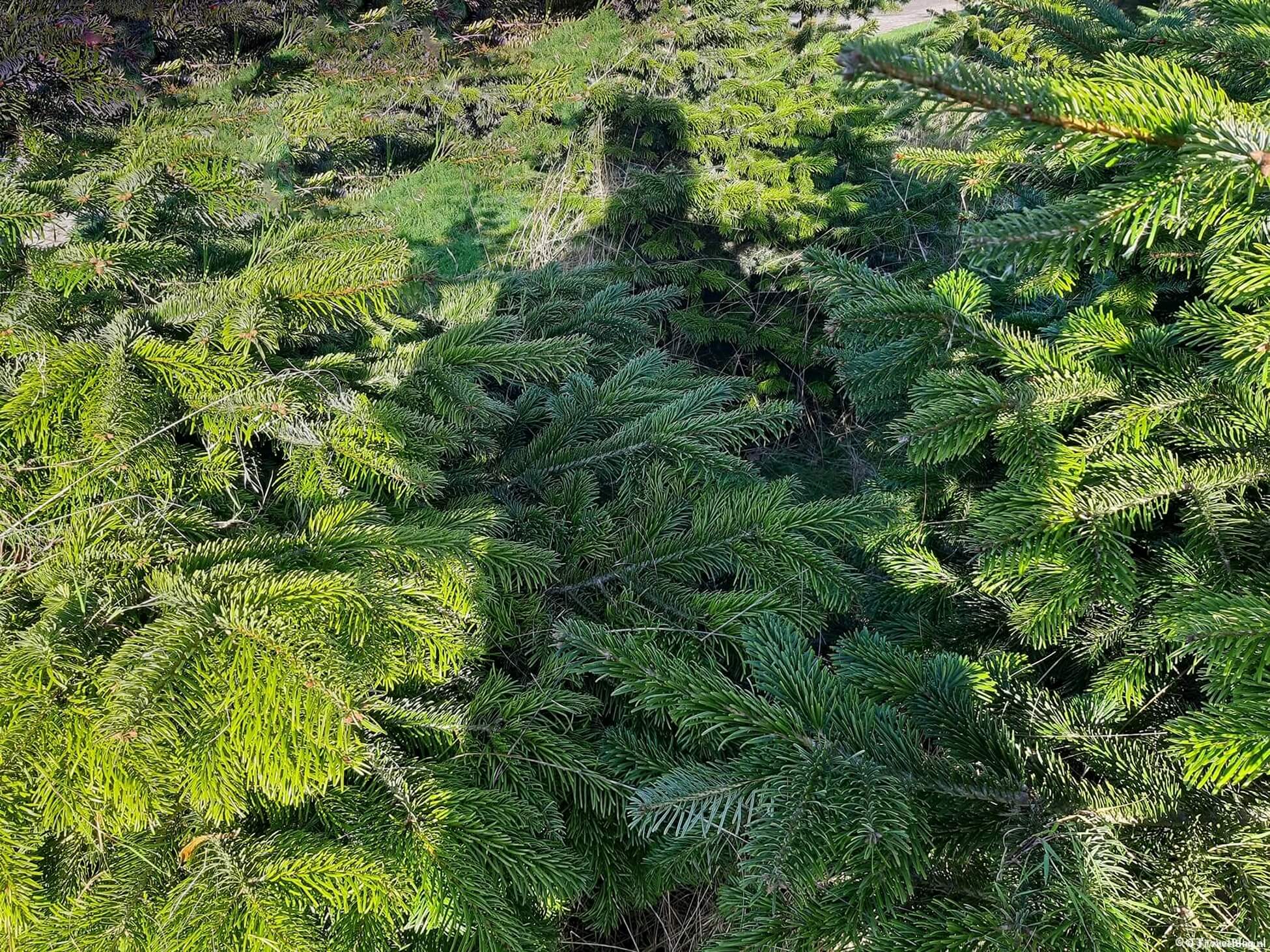 Maandoverzicht december 2024