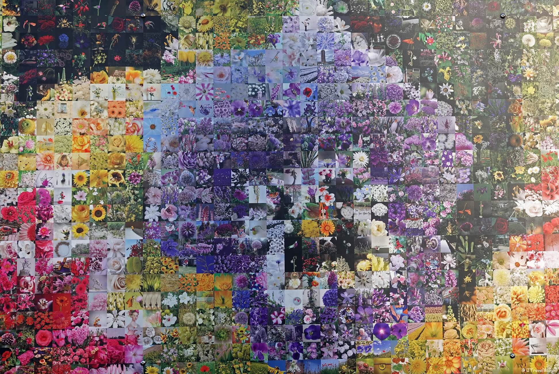 Museumtip #39 : Flower Art Museum – Aalsmeer