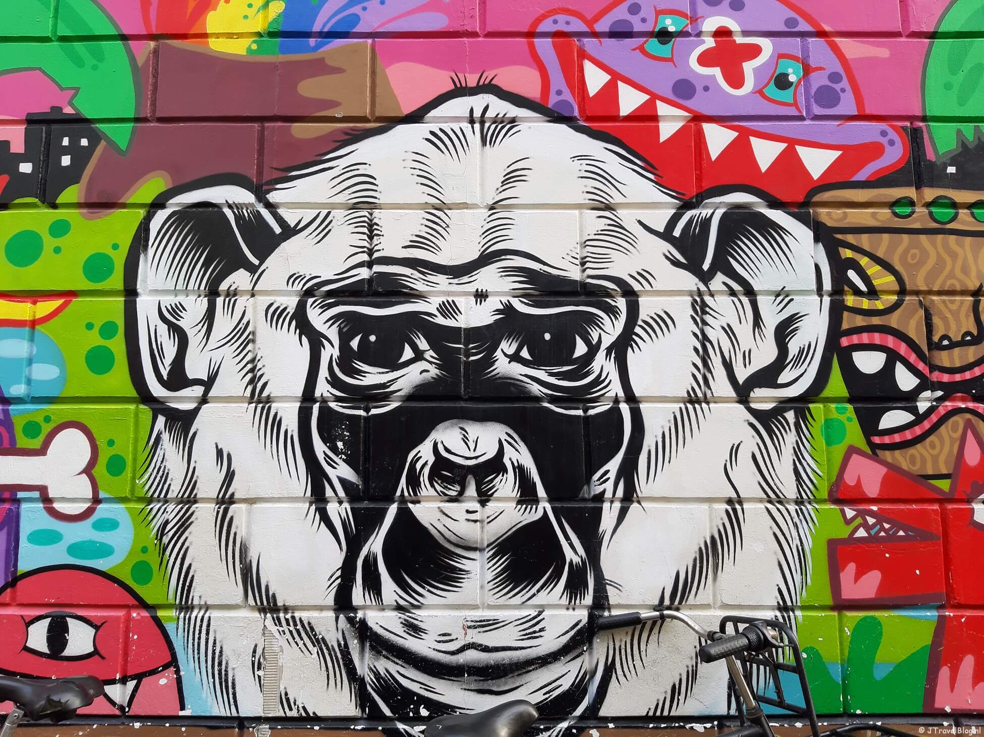 Street art wandeling in Rotterdam-Centrum