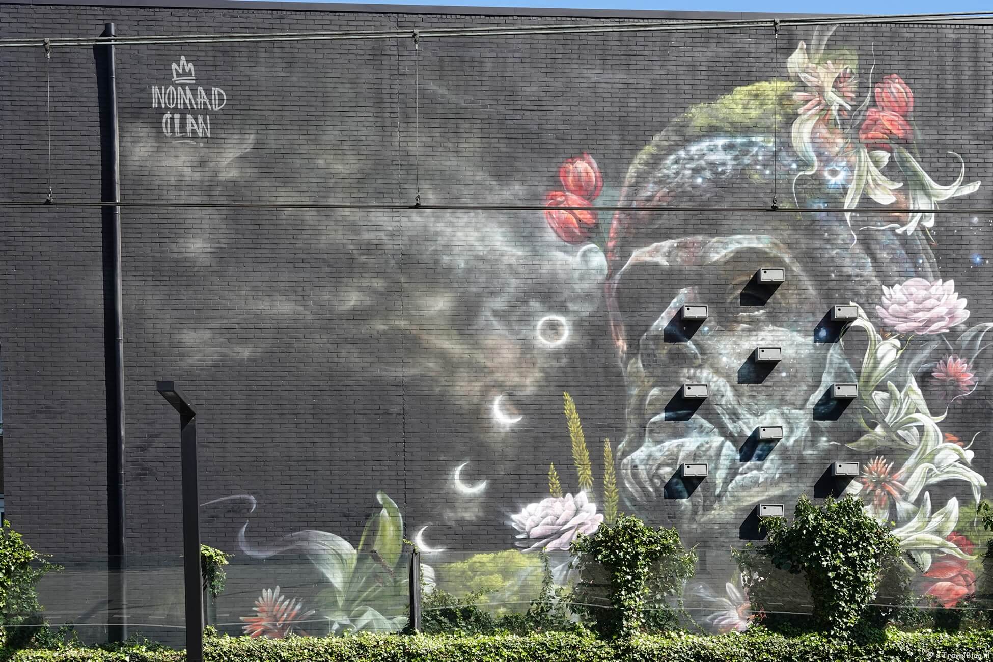 Street art wandeling in Rotterdam-Feijenoord