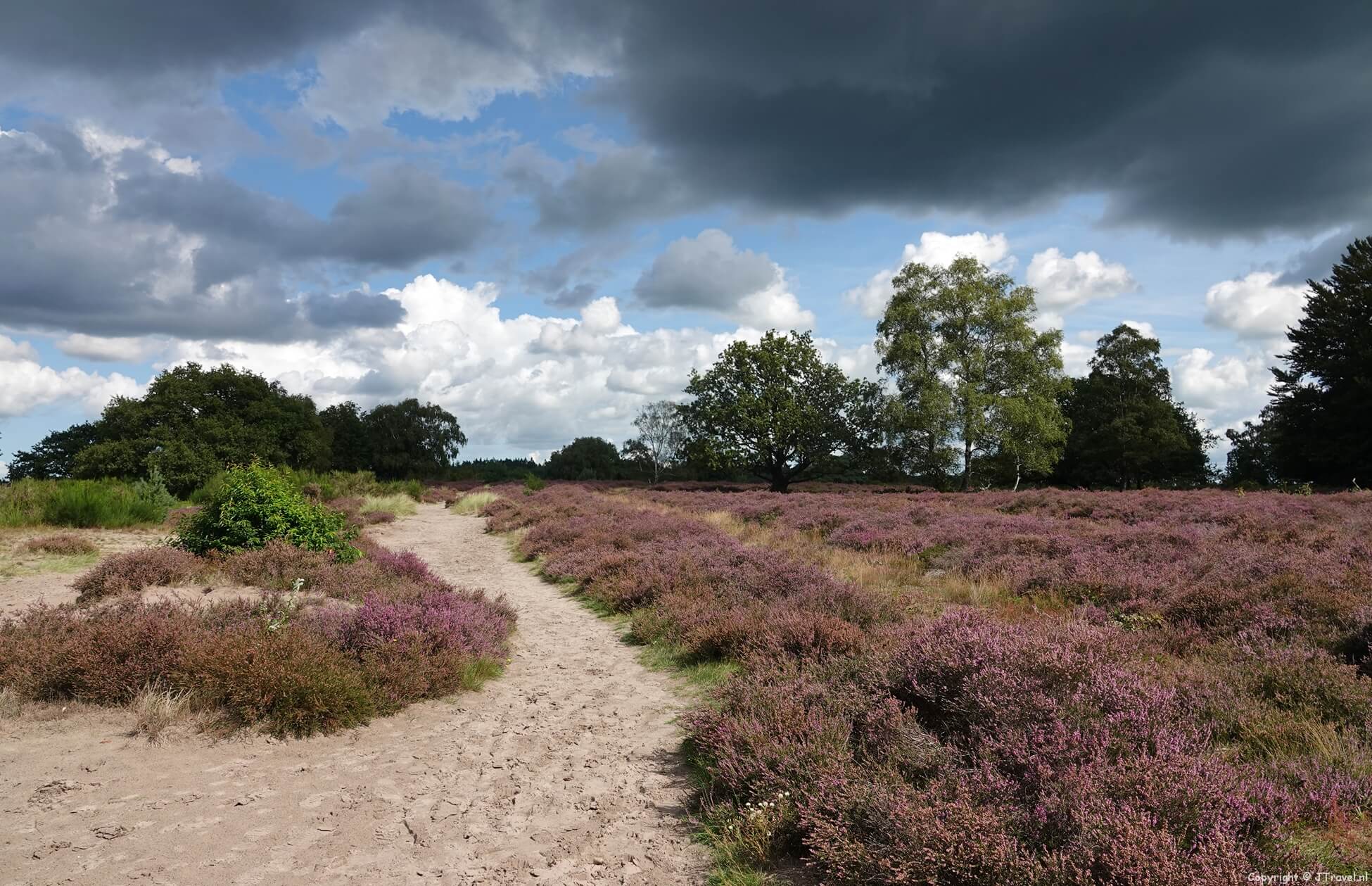 Voetstappenpad etappe 2 : de heidevelden en bossen aan de westkant van Hilversum