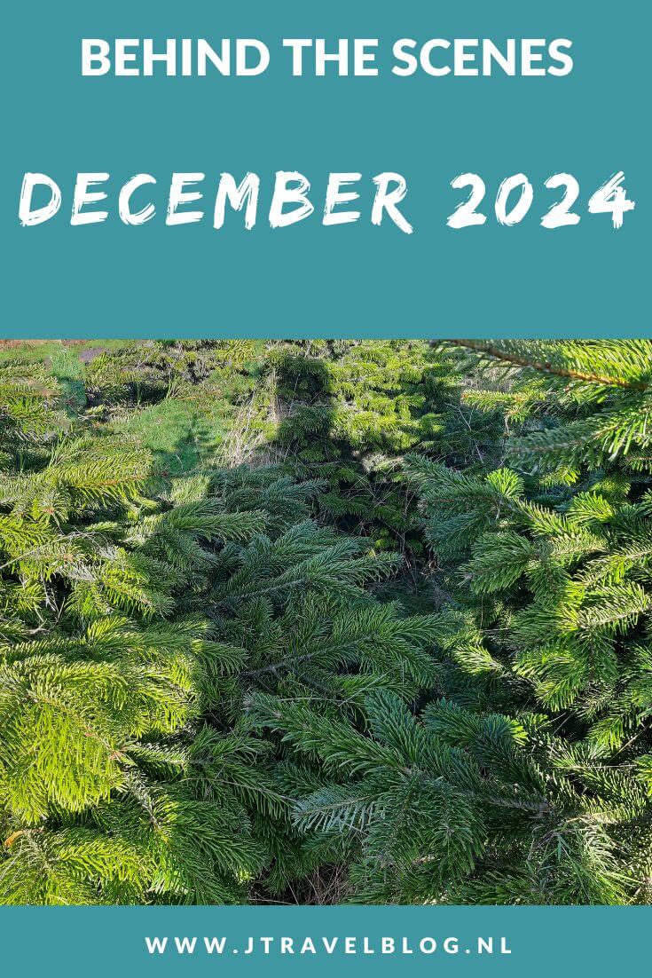 In december 2024 maakte ik een wandeling in Amersfoort. Eind december reis ik voor de feestdagen af naar Groningen. Meer hier over lees je in dit maandoverzicht. #maandoverzicht #december2024 #amersfoort #wandelen #jtravel #jtravelblog