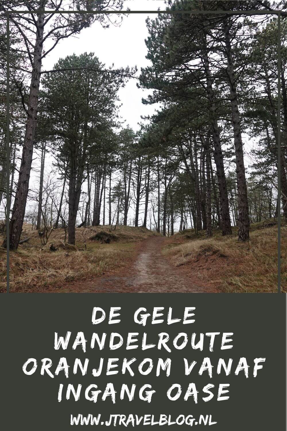 Ik liep de gele wandelroute Oranjekom vanaf ingang Oase in de Amsterdamse Waterleidingduinen. Deze wandeling maak ik aan de hand van de oranje routepaaltjes over een afstand van 3,7 kilometer. Mijn route en de achtergronden lees je in deze blog. #oranjekom #ingangoase #amsterdamsewaterleidingduinen #awd #wandelen #jtravel #jtravelblog