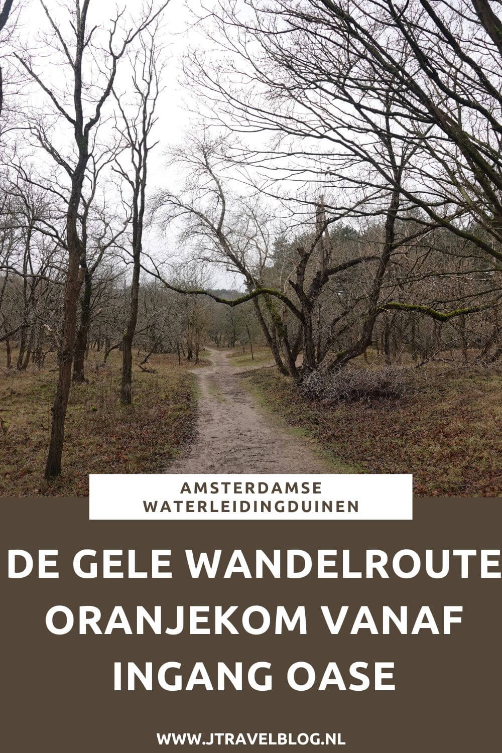 Ik liep de gele wandelroute Oranjekom vanaf ingang Oase in de Amsterdamse Waterleidingduinen. Deze wandeling maak ik aan de hand van de oranje routepaaltjes over een afstand van 3,7 kilometer. Mijn route en de achtergronden lees je in deze blog. #oranjekom #ingangoase #amsterdamsewaterleidingduinen #awd #wandelen #jtravel #jtravelblog